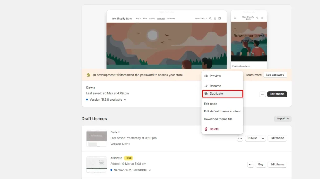 Duplicate Shopify theme Duplicate Shopify theme