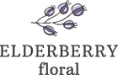 elderberry-img