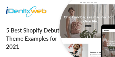5 Best Shopify Debut Theme Examples For 2021