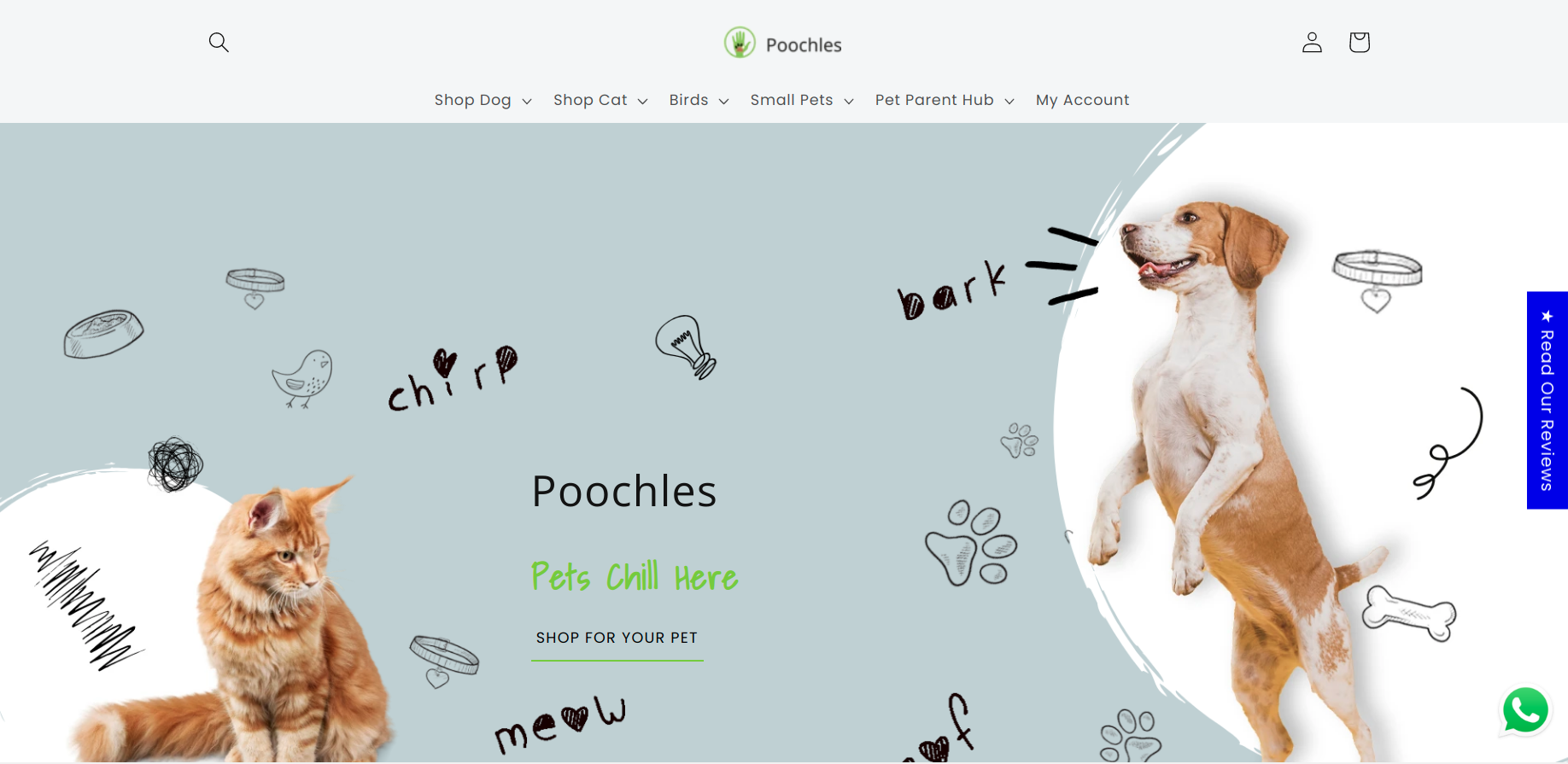 poochles shopify dawn theme