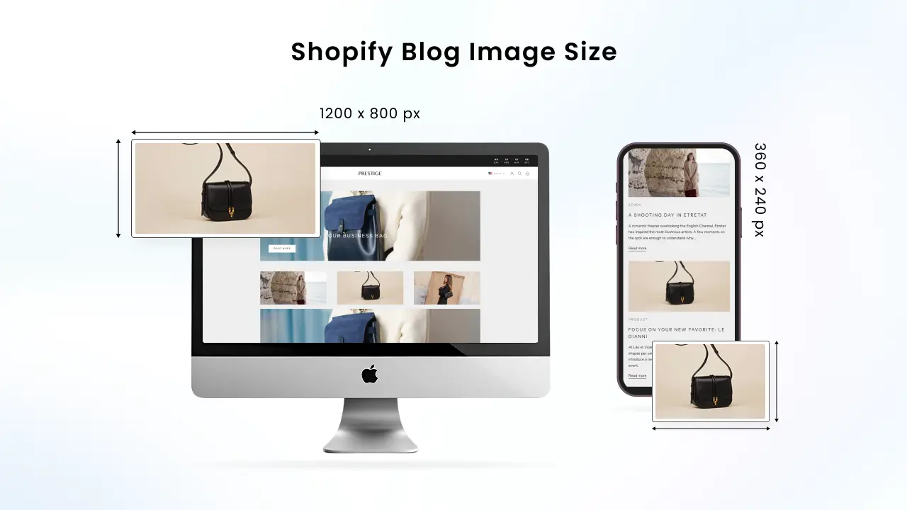 Shopify Blog Image Size Example