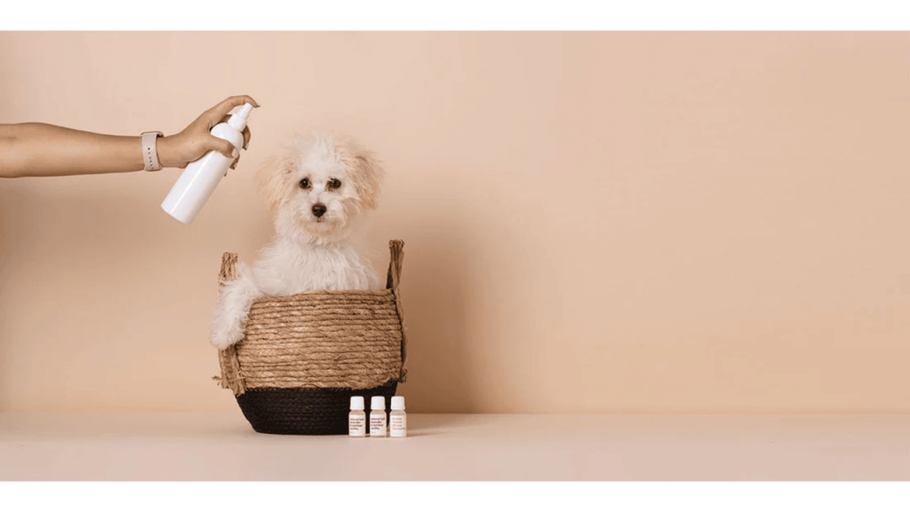 Various pet care items in bulk neatly displayed