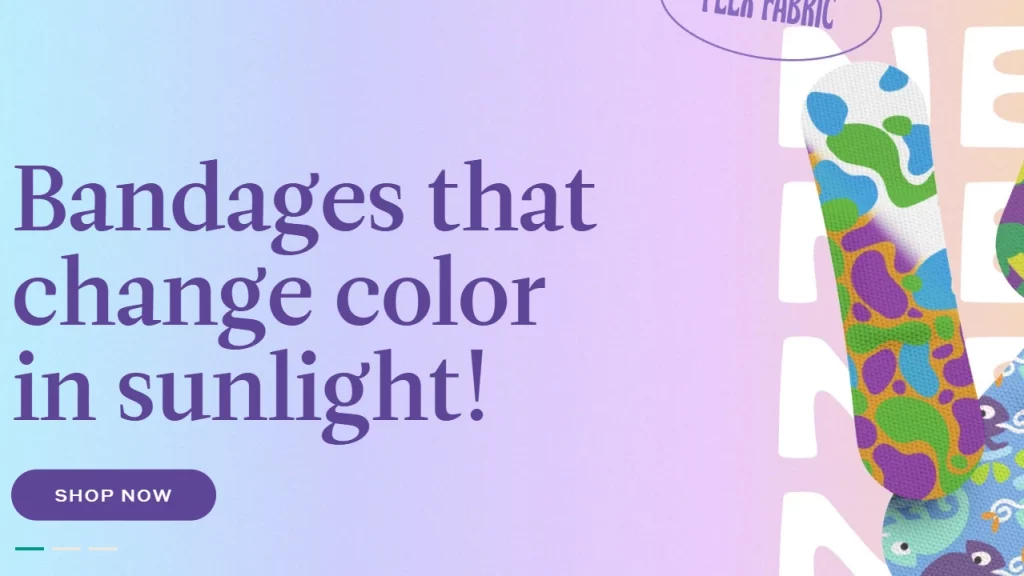 Welly store's home page design