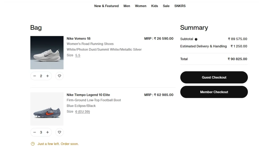 Guest checkout option displayed in Nike's website. 