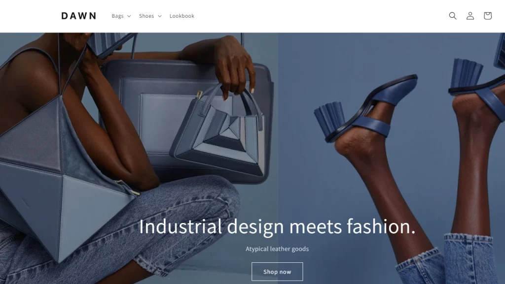 Demo page for Dawn, the Shopify theme for dropshipping stores. 