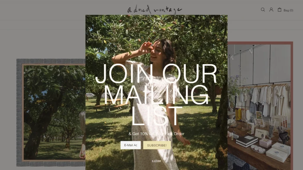 Adored Vintage's Shopify pop up as seen on their store. 