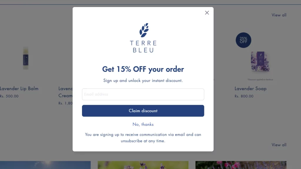 The design of a website pop up from Terre Bleu.