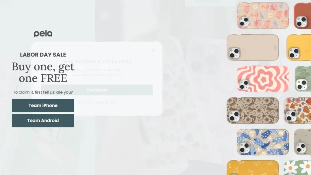 The design of a website pop up from  Pela Case.