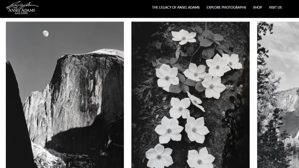 Ansel Adams Gallery, one of the best Shopify art stores. 