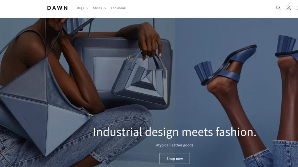 Dawn Shopify theme, one of the fastest Shopify themes. 