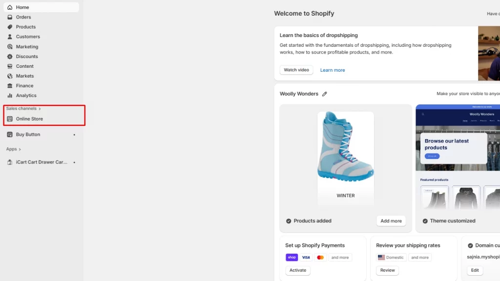 Log in to your Shopify admin and click on Online Store.