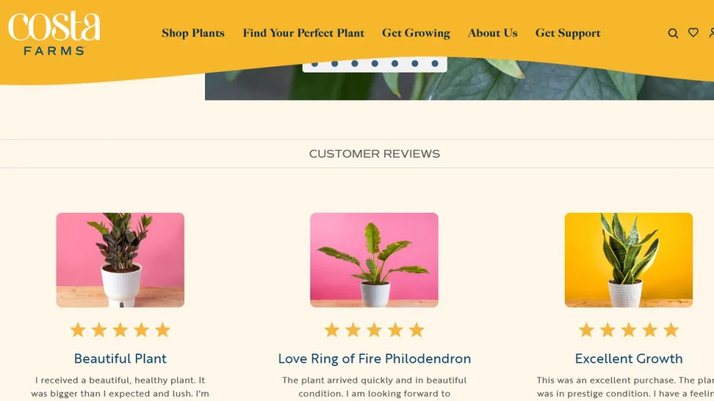 Costa Farms. A Shopify Home & Garden store.