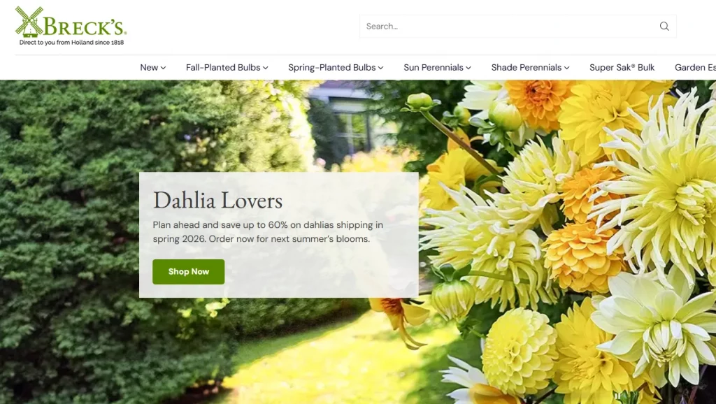 Homepage of a Shopify store, Breck's