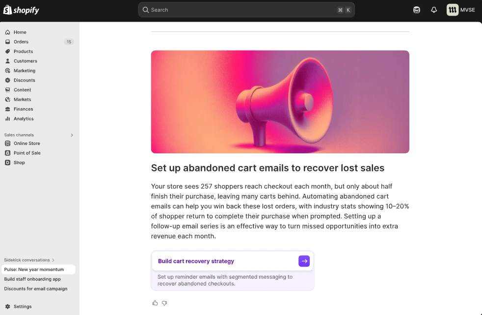 Sidekick Pulse in a Shopify admin panel. Sidekick Pulse in a Shopify admin panel.