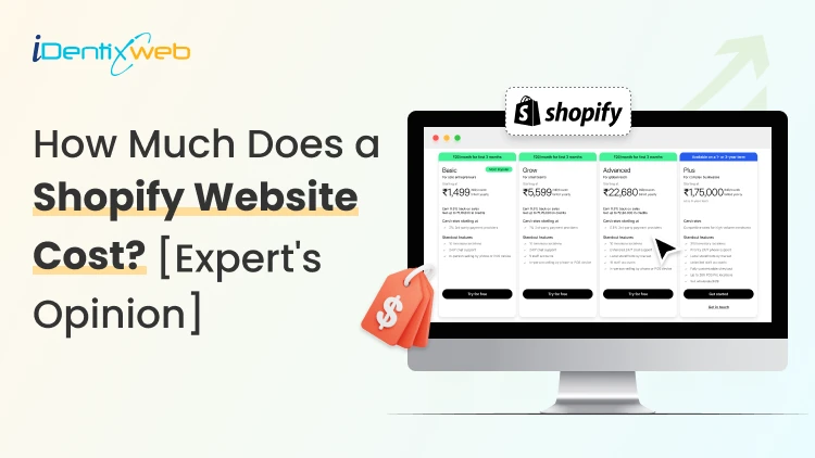 How Much Does Shopify Cost? DIY vs Hiring a Developer [Cost Breakdown]