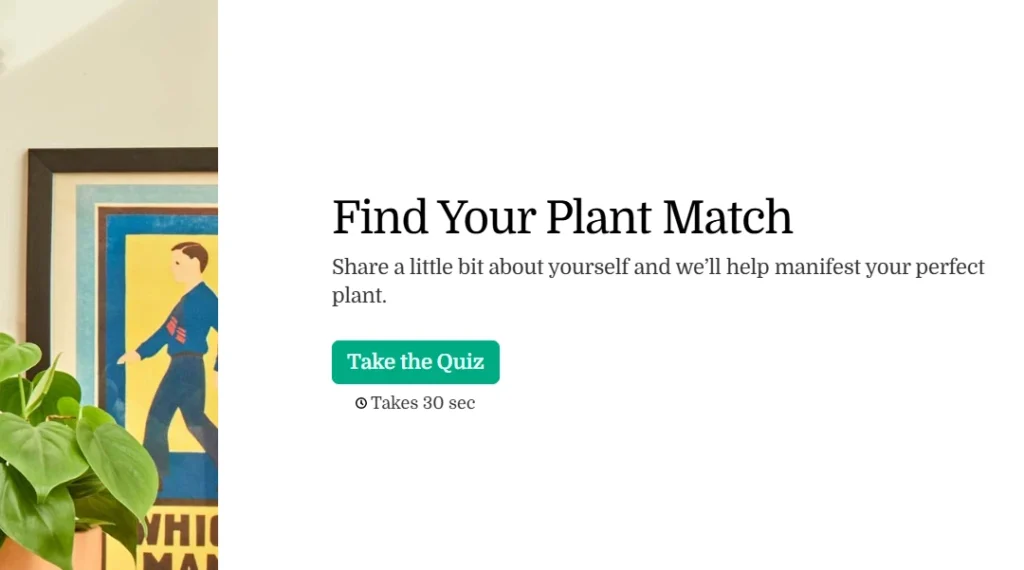 The Sill product recommendations quiz The Sill product recommendations quiz